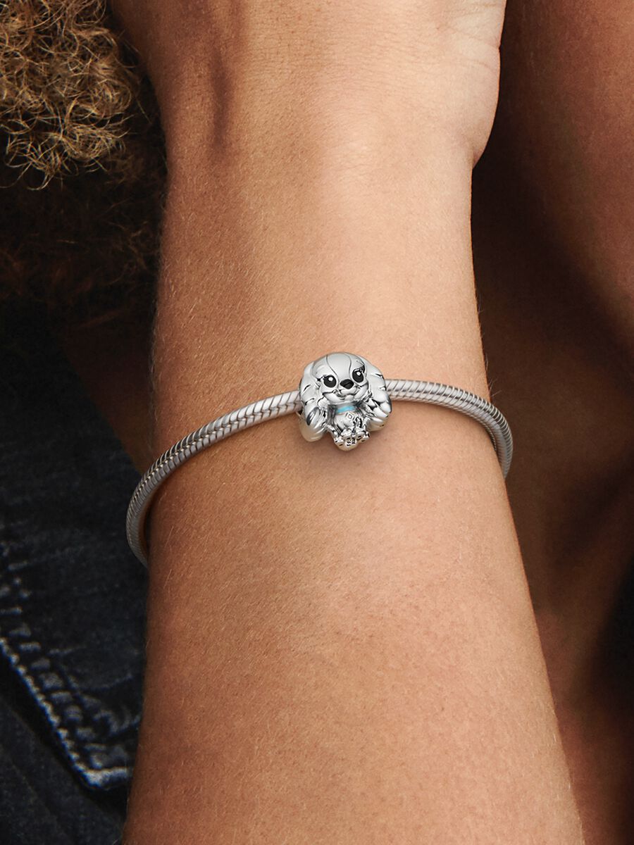Disney Lady Charm