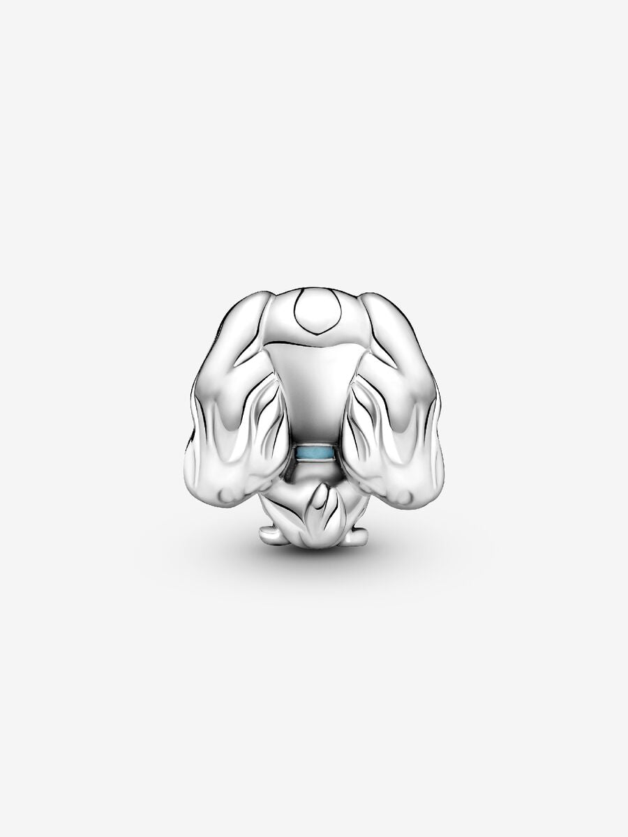 Disney Lady Charm