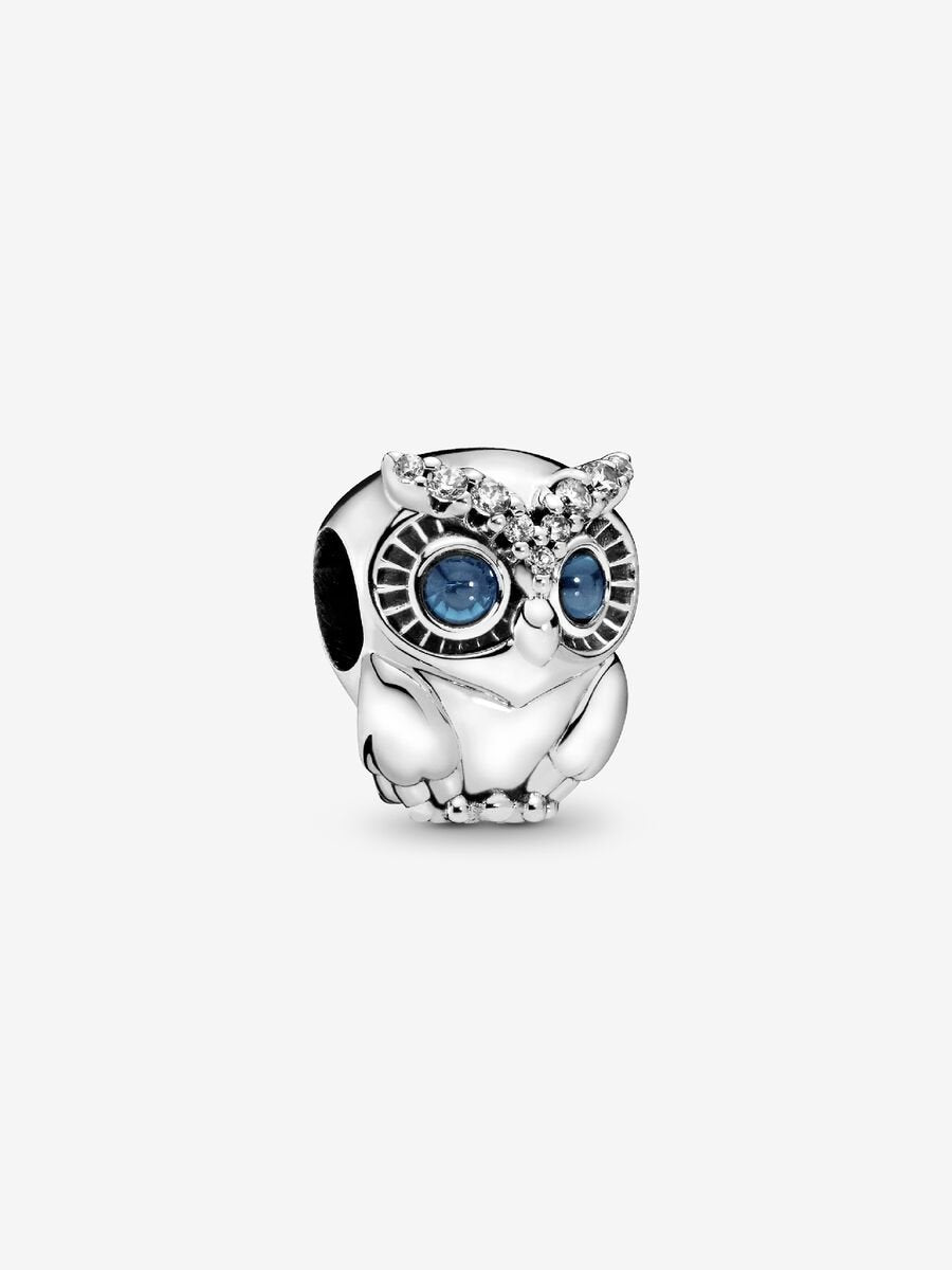 Sparkling Owl Charm