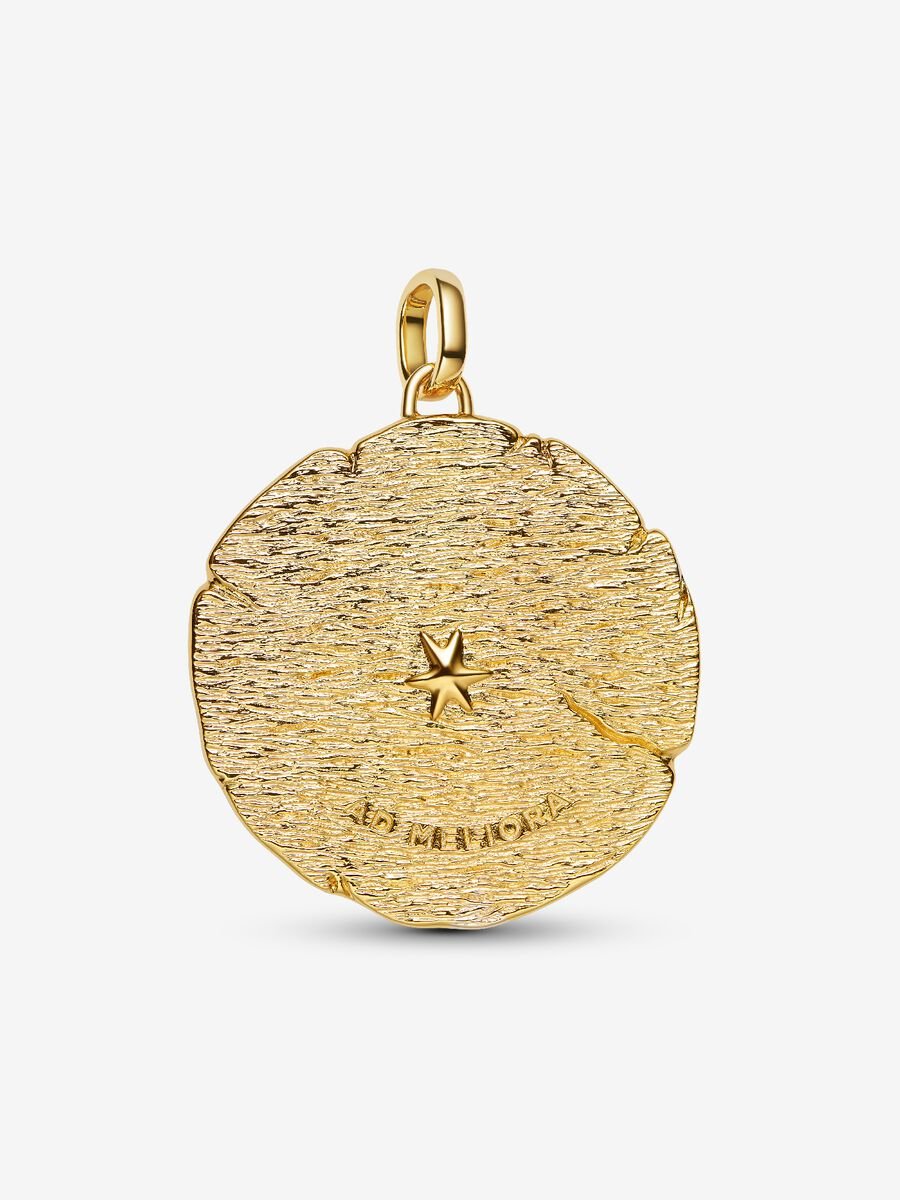 Crossing Arrows Oversized Medallion Charm