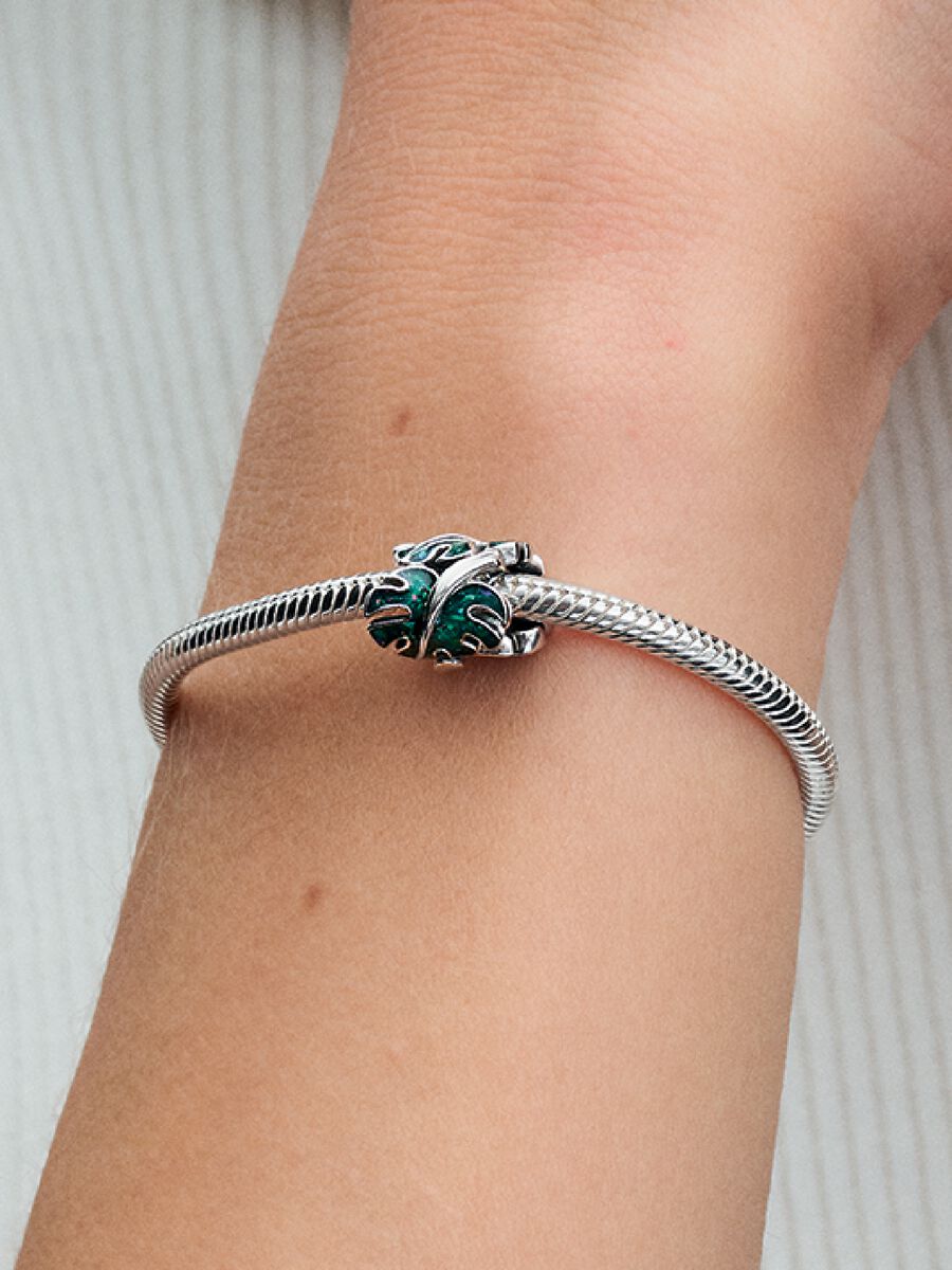 Green Monstera Leaves Charm