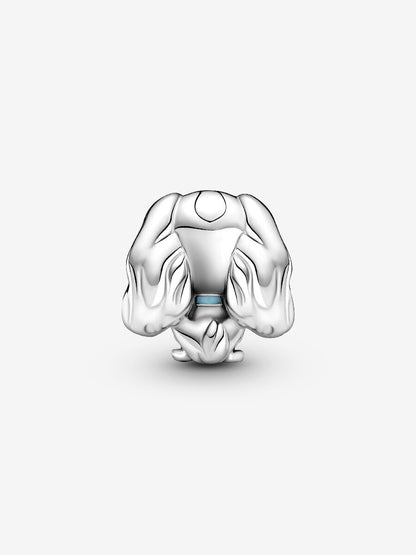 Disney Lady Charm