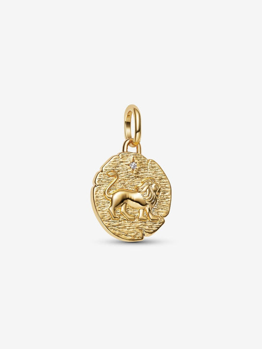 NEW | Lion Medallion Charm
14k gold plating