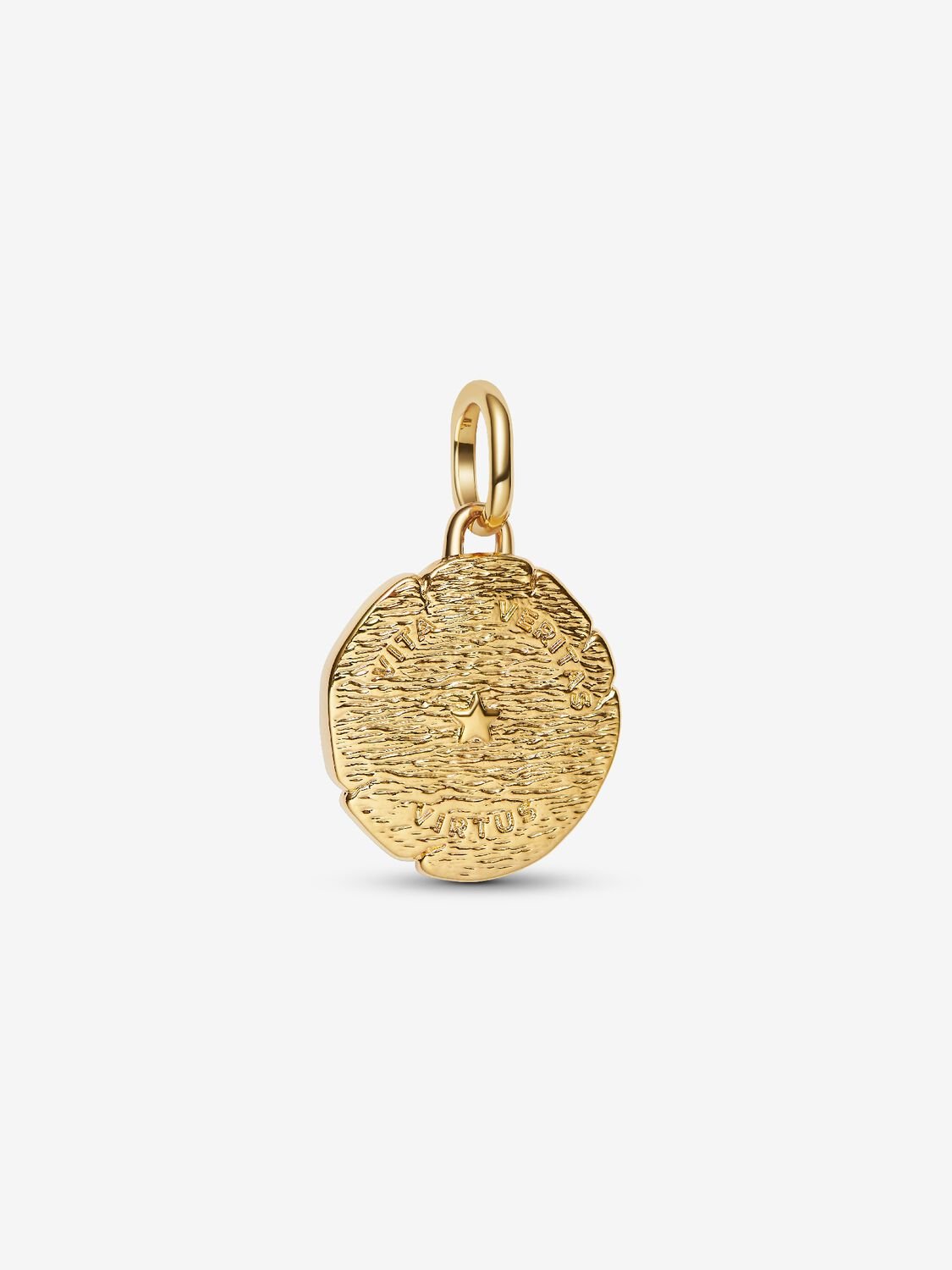 NEW | Lion Medallion Charm
14k gold plating