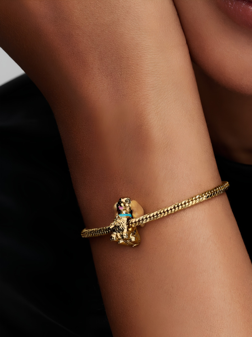 Disney Lady Charm