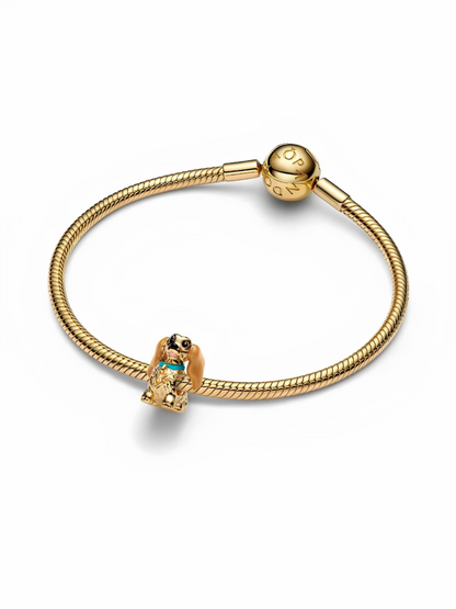 Disney Lady Charm