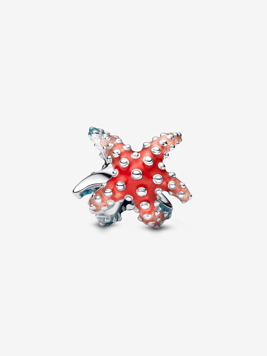 Colourful Starfish Mini Charm (25)