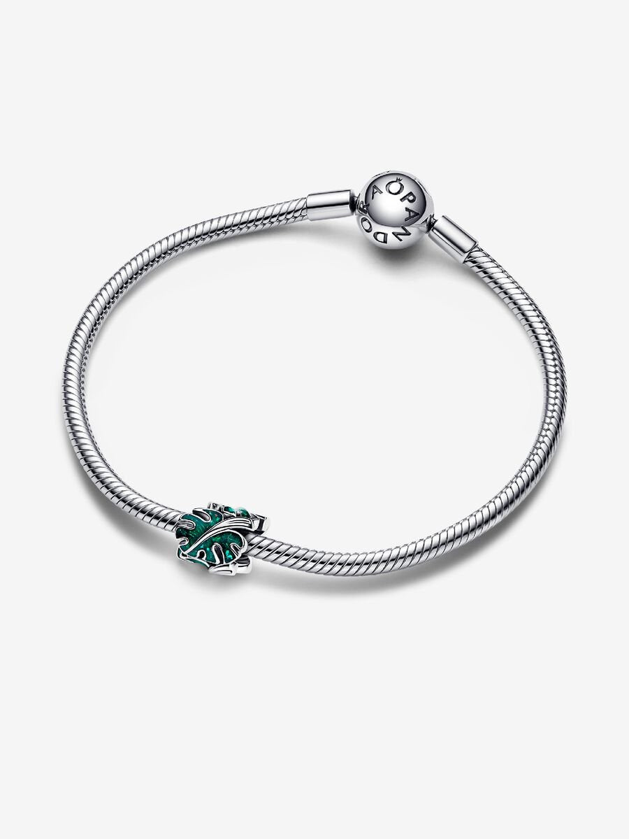 Green Monstera Leaves Charm